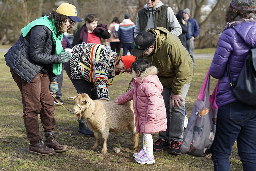events things to do with kids philly goat project
