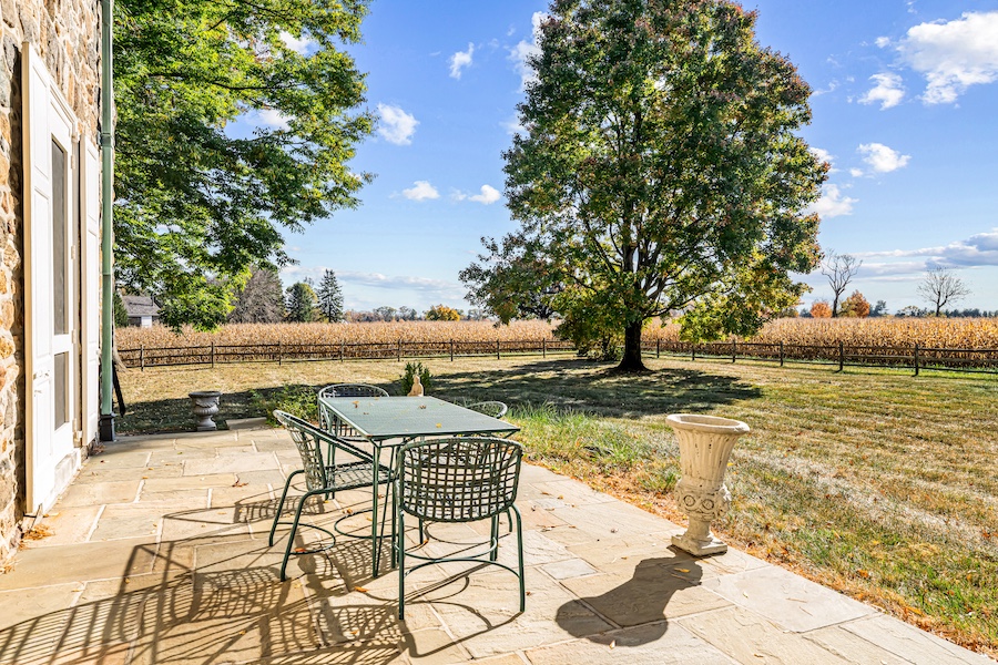 rear patio and grounds