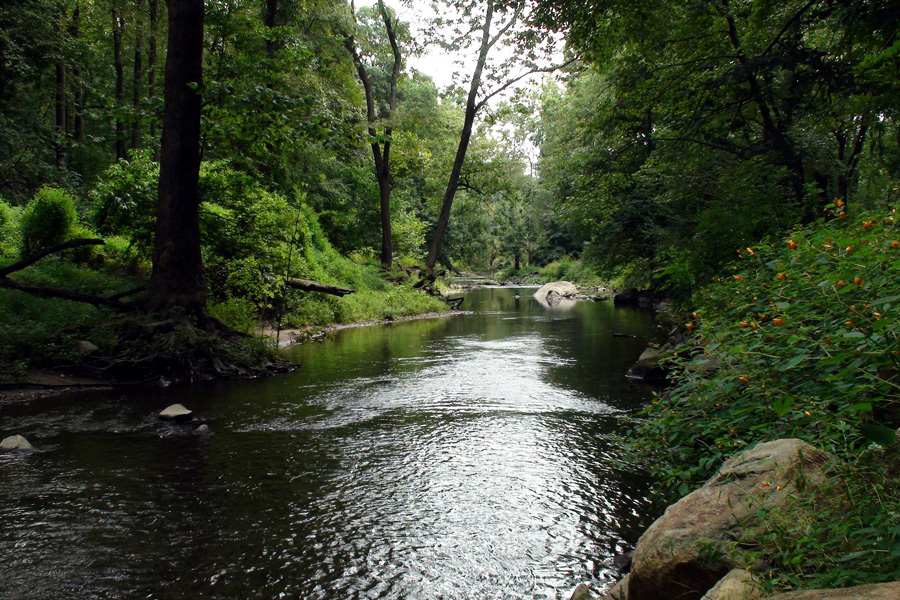 peaceful hikes