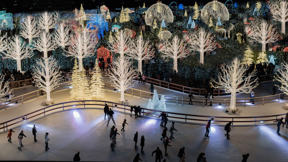 tinseltown holiday lights