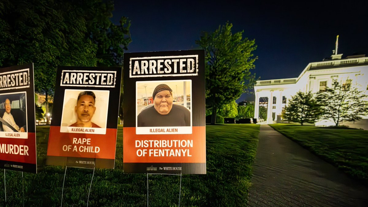 A White House lawn sign showing the arrest of Virginia Basora-Gonzalez (image via White House/X)
